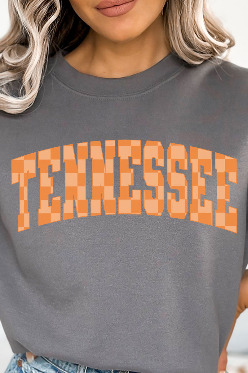 Check It Out Tennessee Heavy-weight Crew Sweatshirt product image 2