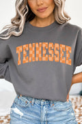 Check It Out Tennessee Heavy-weight Crew Sweatshirt product image 1
