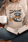 Raccoon Spooky Vibes Heavy-weight Crew Sweatshirt product image 1
