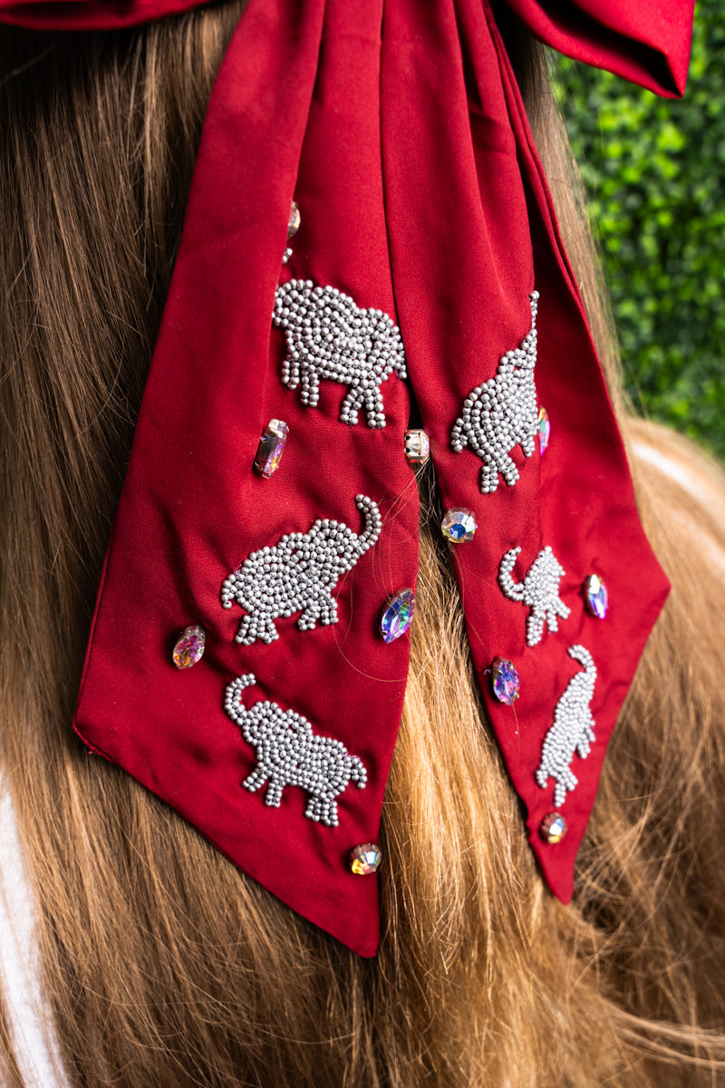 Tailgating Trunks Hair Bow Barrette