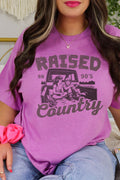 Tailgate And 90's Country Softstyle Adult T-Shirt product image 1